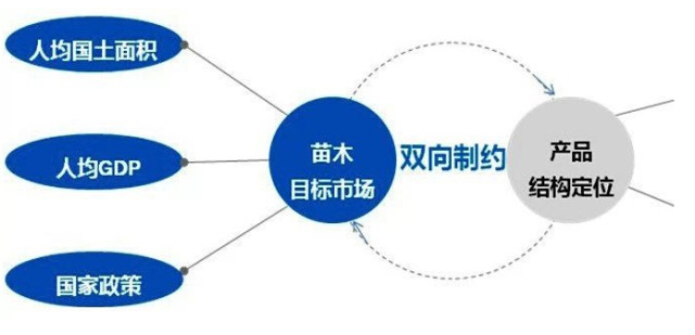 學(xué)習(xí)國(guó)外苗木行業(yè)經(jīng)驗(yàn)，搶先了解國(guó)內(nèi)市場(chǎng)動(dòng)態(tài)